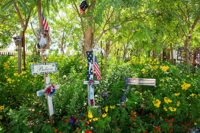 A look at the Community Healing Garden in Downtown Las ...