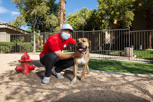 Eric Jeng and Kylo, his adopted 4-year-old Mastiff mix, pose ...