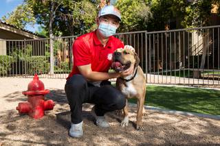 Eric Jeng and Kylo, his adopted 4-year-old Mastiff mix, pose for a photo at the dark park, Wed, June 24, 2020.
