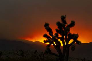 The sun sets behind a fire at Mount Charleston Sunday, June 28, 2020. Windy conditions expanded a brush fire at Mount Charleston to 5000 acres by sundown.