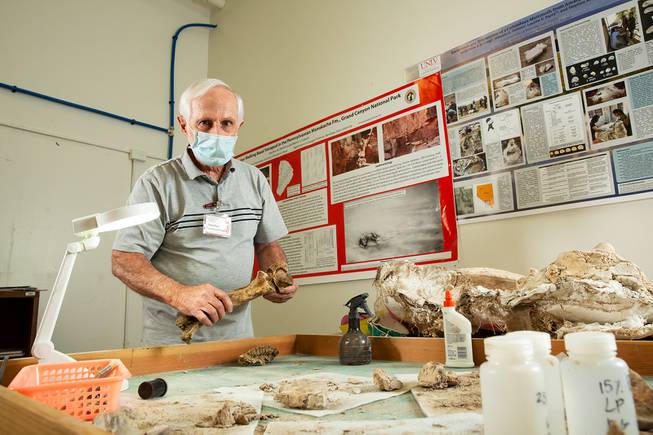 Las Vegas Paleontologist Stephen Rowland