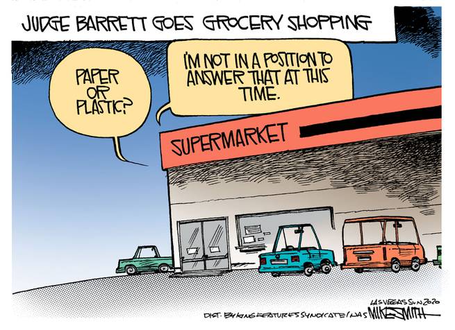 Title:  Judge Barrett Goes Grocery Shopping.  Image:  Voice from grocery store aks, 