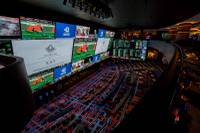 Circa Las Vegas owner Derek Stevens is sitting in the massive sports book at his new downtown property. He looks around at the bright lights, projection screens and other features and can’t help soaking it all in.