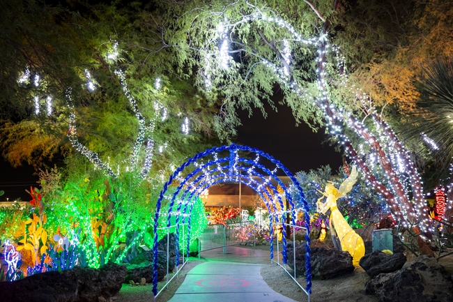 Spots to visit holiday lights display at Ethel M's cactus garden already  booked - Las Vegas Sun News