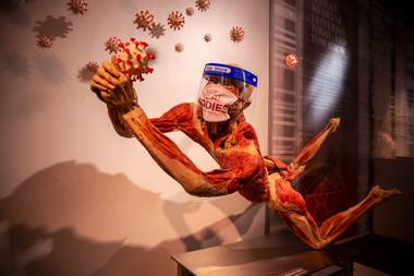 Operating amid the biggest health crisis of a lifetime, the Real Bodies exhibit at Bally’s has scrambled to tell the story of the coronavirus pandemic. "They really thought about this early on in the pandemic when ...