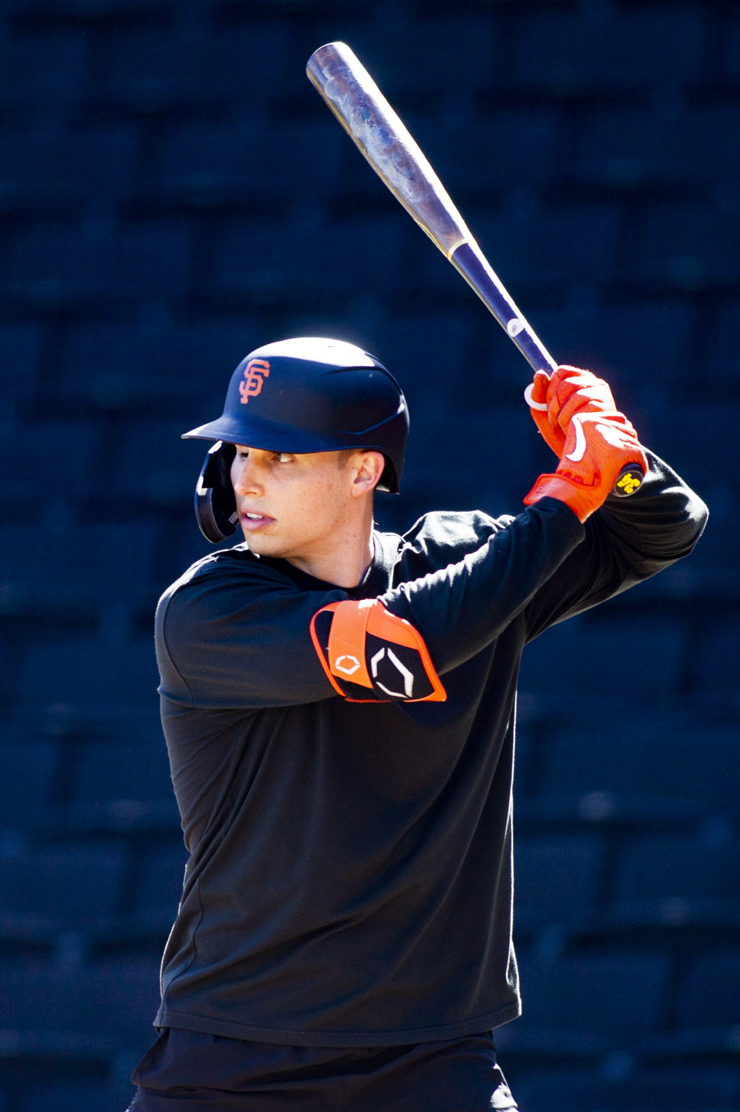 Photograph : Live Batting Practice at Las Vegas Ballpark 