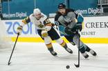 Golden Knights Shut Out Sharks, 4-0, in San Jose