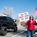 Pro gun protest in Carson City