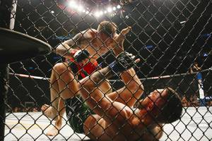 Poirier Defeats McGregor by TKO at UFC 264