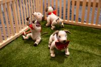 When guests arrive at Resorts World in Las Vegas, they are greeted in the lobby by three artificial intelligence-powered puppies — Sinatra, Stardust and Elvis.