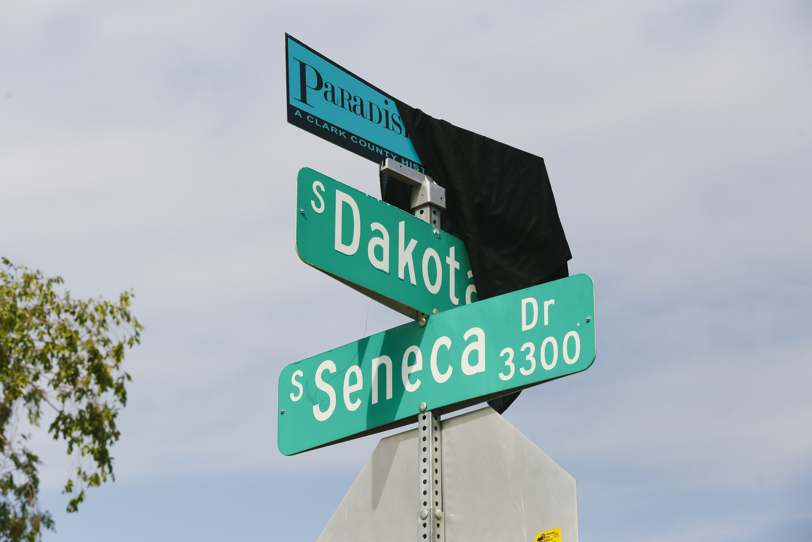 Paradsie Drive Street Sign 