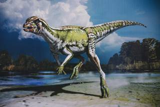 A rendering by Julius Csotonyi of the Nevadadromeus-schmitti dinosaur is displayed at the Nevada Science Center in Henderson Thursday, Sept. 30, 2021.
