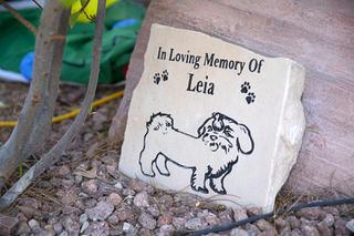 A plaque in memory of Leila is shown in the backyard of the Cornwall home Friday, Dec. 17, 2021. Leila was poisoned and died in 2019. The Cornwalls want to find the person responsible for poisoning dogs in the Lakes area of Las Vegas.