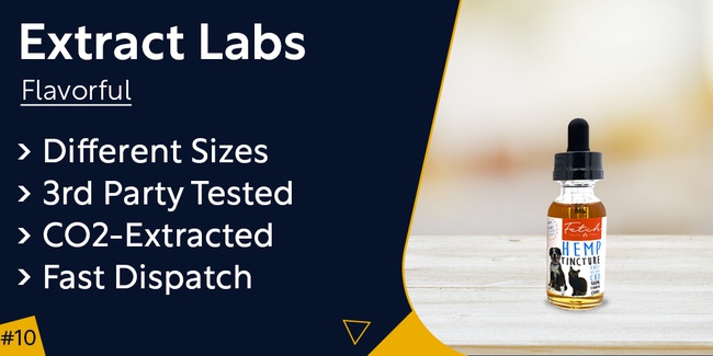 Extract Labs