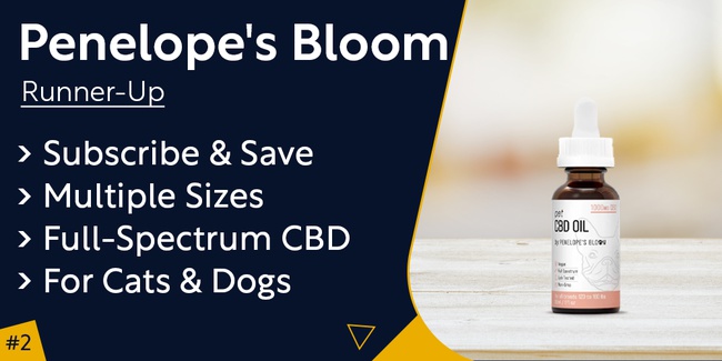 Penelope's Bloom