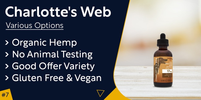 Charlotte's Web