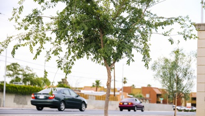 Nevada bill would push cities to further account for heat mitigation