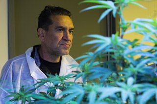 Jason Yazdanpanah, co-owner of Natures Chemistry, a cannabis cultivation facility, shows cannabis growth in the flower room during a tour Thursday, Dec. 1, 2022.