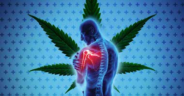 Cannabis has been utilized worldwide for thousands of years, according to a study published in the Pharmacy and Therapeutics journal—as patent medicine during the 19th and 20th centuries and first described in the U.S. Pharmacopoeia in 1850.