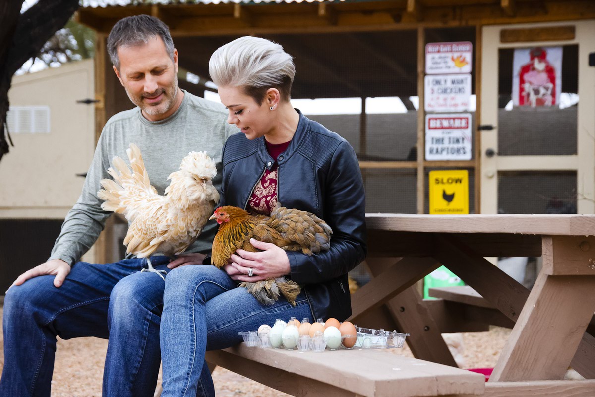 Backyard Farm Fresh Eggs: Growing Popularity of Las Vegas Pet Chickens