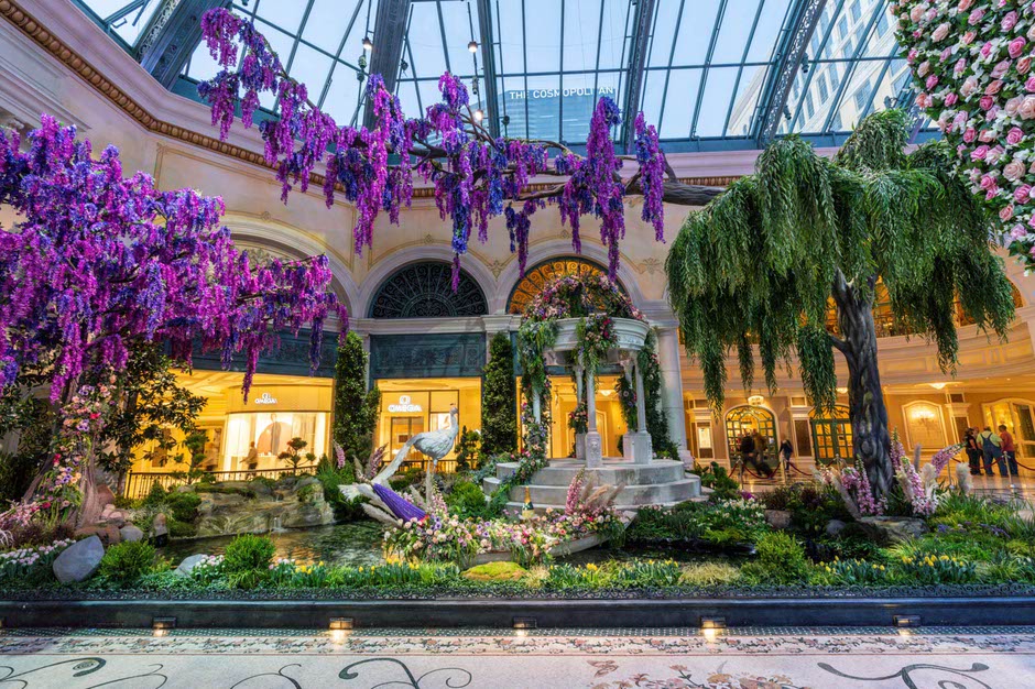 Bellagio Conservatory & Botanical Garden - All You Need to Know