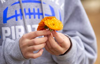 Moapa Valley High School student Emma Bowler holds Calendula flowers at the Moapa Valley High School Laboratory Farm in Overton Thursday, March 30, 2023.