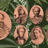A walk through the history of cannabis and 420
