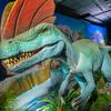 The adventure of Dino Safari at Horseshoe Las Vegas