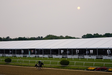Disappointment is an overall theme going into today’s second race of the Triple Crown, the Preakness Stakes at Pimlico Race Course in Baltimore. ...
