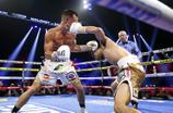 Nakatani Knocks Out Moloney in 12th Round
