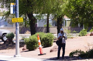 A person stands under a tree for shade while waiting for the bus in East Las Vegas Monday, Aug. 7, 2023.