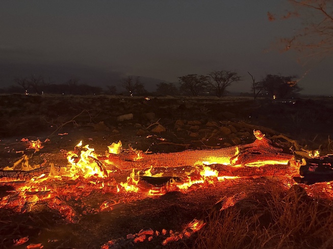 Hawaii Wildfires