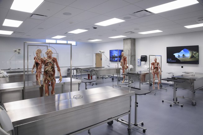 Kirk Kerkorian School of Medicine Cadaver Lab