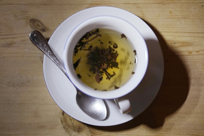 A US scientist has brewed up a storm by offering Britain advice on ...