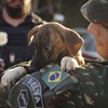 A Brazilian soldier carries a dog after rescuing it from a flooded area after heavy rain in Canoas, Rio Grande do Sul state, Brazil, Thursday, May 9, 2024. A top United Nations official says even though climate change makes disasters such as cyclones, floods and droughts more intense, frequent and striking more places, fewer people are dying from those catastrophes globally because of better warning, planning and resilience. 