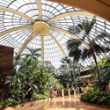 Mirage Closing