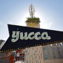 Neon Museum Moving