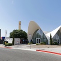 Neon Museum Moving