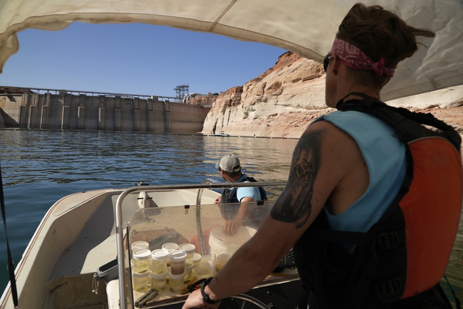 lake powell