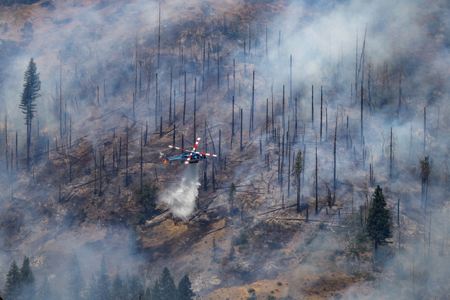 california wildfires