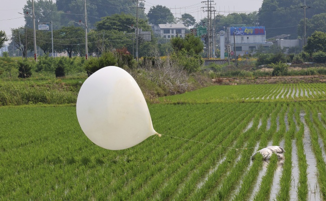 koreas balloons