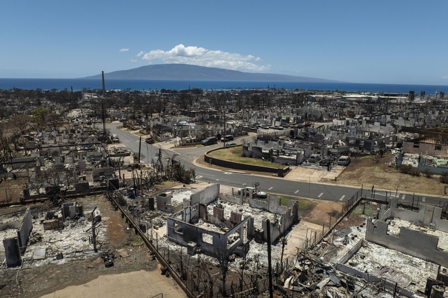 Hawaii aftermath