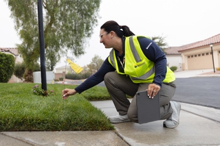 Devyn Choltko, Las Vegas Valley Water District Water Waste Investigator, places a violation flag on a lawn for watering on an unassigned day and water flowing off property Wednesday, Sept. 11, 2024.