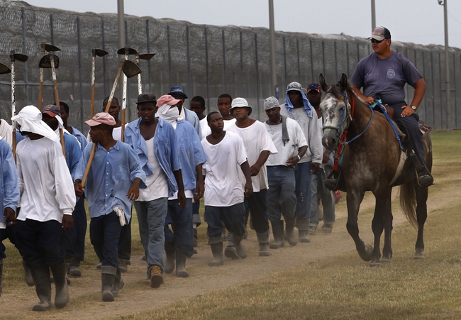 Prison to Plate