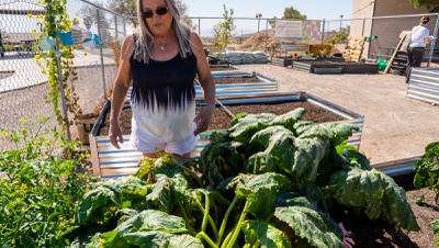 Legislation plants seeds for community gardens statewide