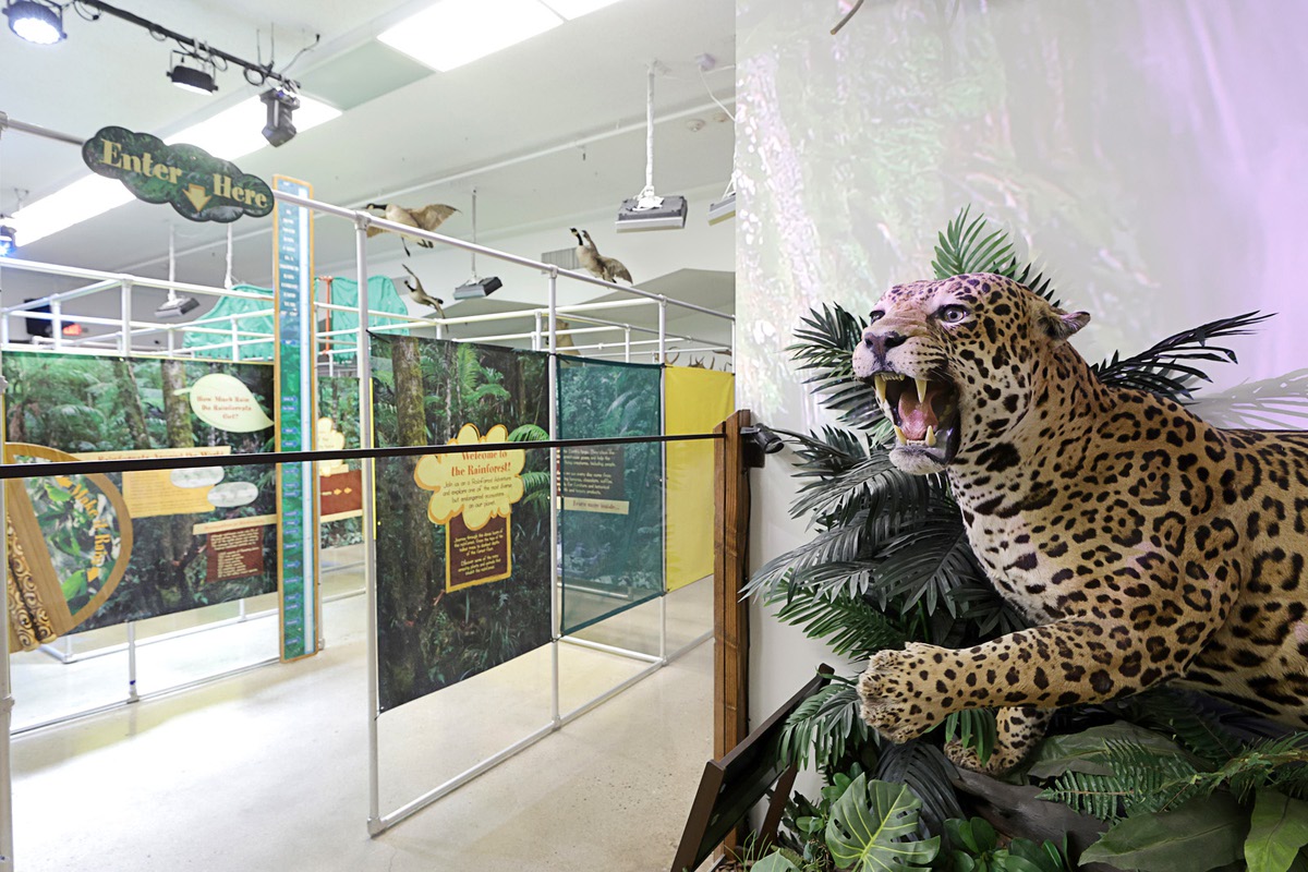 Las Vegas museum turns 34 with new vision, new name - Las Vegas