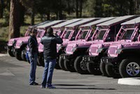 Para los habitantes de Las Vegas, Pink Jeep Tours no es algo extraño. Los llamativos vehículos rosas de esta empresa de excursiones todoterreno, que parecen ser los favoritos de los turistas que buscan entretenimiento al aire libre en el sur de Nevada, son difíciles de pasar por alto.

