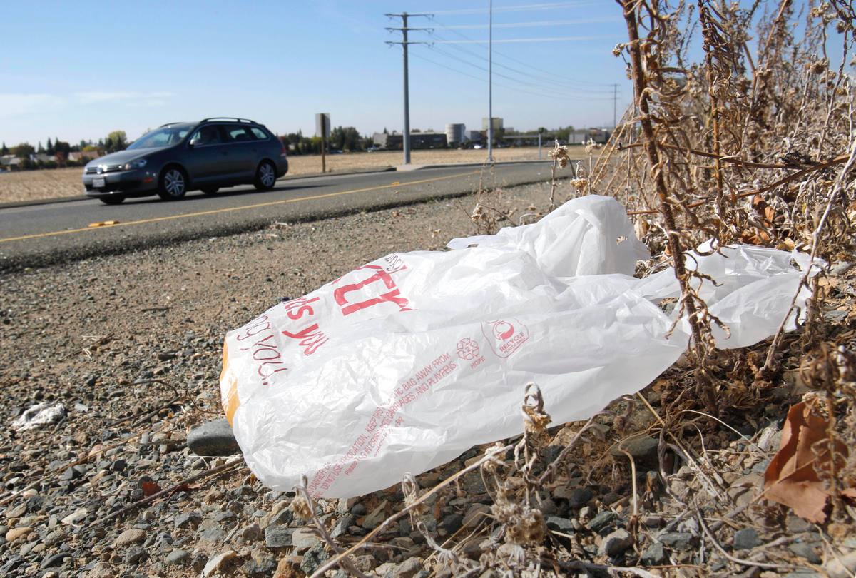 Why plastic bags will be gone from California groceries by the end of the year –
Las Vegas Sun News