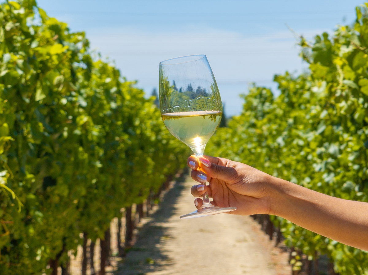 Las Vegas to Sonoma wine country just got significantly faster