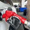 Motorists fill up with gasoline at a Costco in Henderson Monday, April 13, 2026.